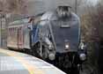 Photograph of SIR NIGEL GRESLEY - 60007 SIR NIGEL GRESLEY at London - Finsbury Park on 06/03/14