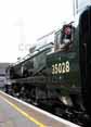 Photograph of CLAN LINE - 35028 CLAN LINE at London - Victoria on 11/12/10