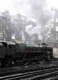 Photograph of DUKE OF GLOUCESTER - 71000 DUKE OF GLOUCESTER at London - Victoria on 05/11/10
