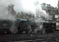 Photograph of DUKE OF GLOUCESTER - 71000 DUKE OF GLOUCESTER at London - Victoria on 05/11/10