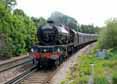 Photograph of PRINCESS ELIZABETH - 46201 PRINCESS ELIZABETH at London - West Brompton on 06/05/11