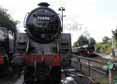 Photograph of 5MT - 73096 5MT at Mid Hants Railway on 03/07/10