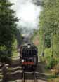 Photograph of 9F - 92212 9F at Mid Hants Railway on 03/07/10