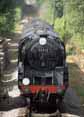 Photograph of 9F - 92212 9F at Mid Hants Railway on 03/07/10