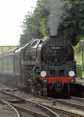 Photograph of 9F - 92212 9F at Mid Hants Railway on 03/07/10