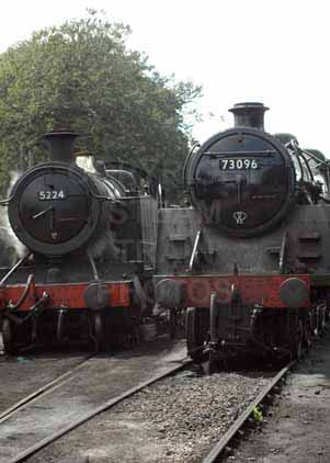 Purchase photo of 5224 Heavy Freight Tank Engine &  73096 5MT at Mid Hants Railway