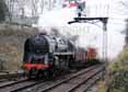 Photograph of 9F - 92212 9F at Mid Hants Railway on 07/02/10