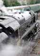 Photograph of 9F - 92212 9F at Mid Hants Railway on 07/02/10