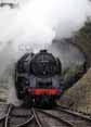 Photograph of 9F - 92212 9F at Mid Hants Railway on 07/02/10