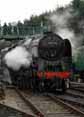 Photograph of 9F - 92212 9F at Mid Hants Railway on 07/02/10