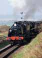 Photograph of U - 31806 U at Mid Hants Railway on 23/03/12