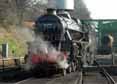 Photograph of Black Five - 45379 Black Five at Mid Hants Railway on 23/03/12