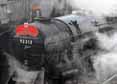 Photograph of 9F - 92212 9F at Mid Hants Railway on 25/04/10