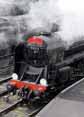 Photograph of 9F - 92212 9F at Mid Hants Railway on 25/04/10