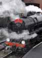 Photograph of 9F - 92212 9F at Mid Hants Railway on 25/04/10