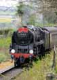 Photograph of 9F - 92212 9F at Mid Hants Railway on 25/04/10
