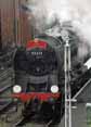 Photograph of 9F - 92212 9F at Mid Hants Railway on 25/04/10