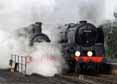 Photograph of 9F - 9017 EARL OF BERKELEY &  92212 9F at Mid Hants Railway on 27/03/11