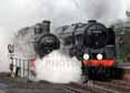 Photograph of 9F - 9017 EARL OF BERKELEY &  92212 9F at Mid Hants Railway on 27/03/11