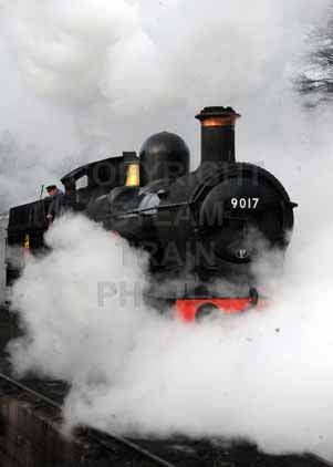 Purchase photo of 9017 EARL OF BERKELEY at Mid Hants Railway