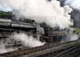 Photograph of Steam Images - Double Header at Mid Hants Railway on 27/03/11