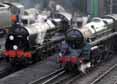 Photograph of 5MT - 31806 U &  73096 5MT at Mid Hants Railway on 27/03/11