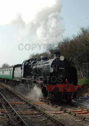 Purchase photo of 31806 U at Mid Hants Railway
