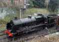 Photograph of U - 31806 U at Mid Hants Railway on 28/01/12