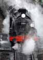 Photograph of U - 31806 U at Mid Hants Railway on 28/01/12