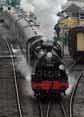 Photograph of U - 31806 U at Mid Hants Railway on 28/01/12