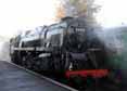 Photograph of 9F - 92212 9F at Mid Hants Railway on 28/10/11