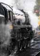Photograph of BRITANNIA - 70000 BRITANNIA at Mid Hants Railway on 28/10/11