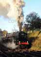 Photograph of BRITANNIA - 70000 BRITANNIA at Mid Hants Railway on 28/10/11