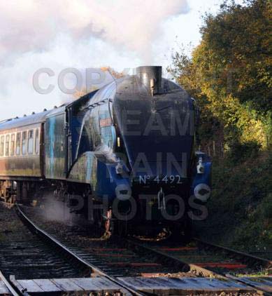 Purchase posters of 4492 DOMINION OF NEW ZEALAND (BITTERN)