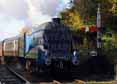 Photograph of DOMINION OF NEW ZEALAND (BITTERN) - 4492 DOMINION OF NEW ZEALAND (BITTERN) at Mid Hants Railway on 28/10/11