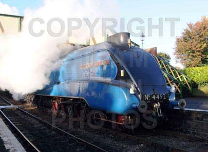 Purchase posters of 4492 DOMINION OF NEW ZEALAND (BITTERN)