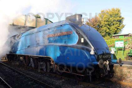Purchase posters of 4492 DOMINION OF NEW ZEALAND (BITTERN)