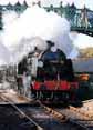Photograph of U - 31806 U at Mid Hants Railway on 28/10/11
