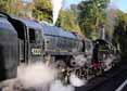 Photograph of U - 31806 U &  92212 9F at Mid Hants Railway on 28/10/11