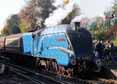 Photograph of DOMINION OF NEW ZEALAND (BITTERN) - 4492 DOMINION OF NEW ZEALAND (BITTERN) at Mid Hants Railway on 28/10/11