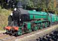 Photograph of LORD NELSON - 850 LORD NELSON at Mid Hants Railway on 28/10/11