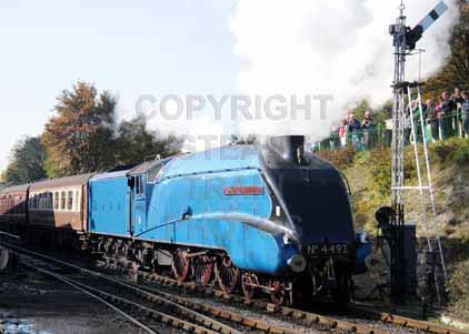 Purchase photo of 4492 DOMINION OF NEW ZEALAND (BITTERN) at Mid Hants Railway