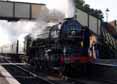 Photograph of TORNADO - 60163 TORNADO at Mid Hants Railway on 28/10/11