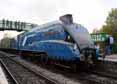 Photograph of DOMINION OF NEW ZEALAND (BITTERN) - 4492 DOMINION OF NEW ZEALAND (BITTERN) at Mid Hants Railway on 28/10/11