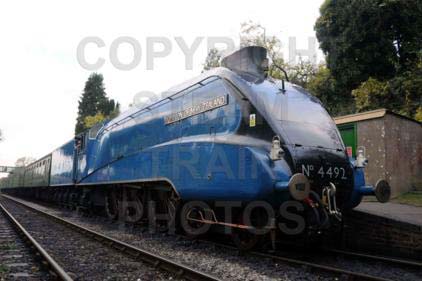 Purchase posters of 4492 DOMINION OF NEW ZEALAND (BITTERN)