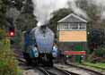 Photograph of DOMINION OF NEW ZEALAND (BITTERN) - 4492 DOMINION OF NEW ZEALAND (BITTERN) at Mid Hants Railway on 28/10/11