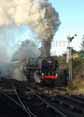 Photograph of BRITANNIA - 70000 BRITANNIA at Mid Hants Railway on 28/10/11