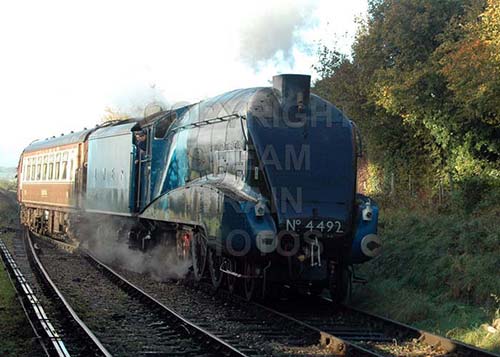 See large image