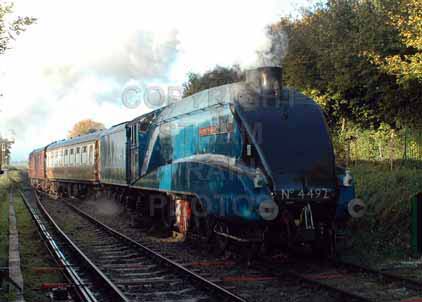 Purchase photo of 4492 DOMINION OF NEW ZEALAND (BITTERN) at Mid Hants Railway