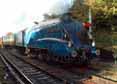 Photograph of DOMINION OF NEW ZEALAND (BITTERN) - 4492 DOMINION OF NEW ZEALAND (BITTERN) at Mid Hants Railway on 28/10/11